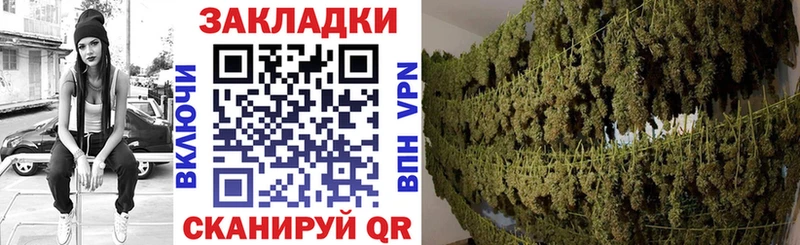 Купить закладку Камышлов Гашиш  Alpha-PVP  Мефедрон 