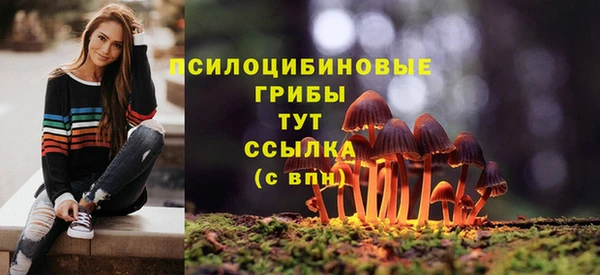 бутират Каменногорск