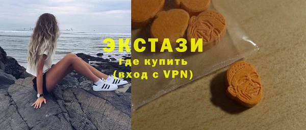 стаф Инта
