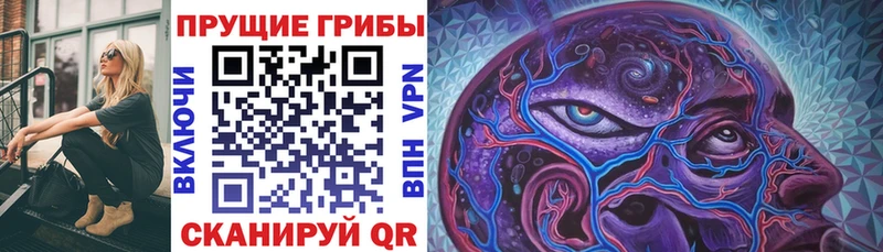 мега рабочий сайт  Камышлов  Галлюциногенные грибы Magic Shrooms  цены наркотик 