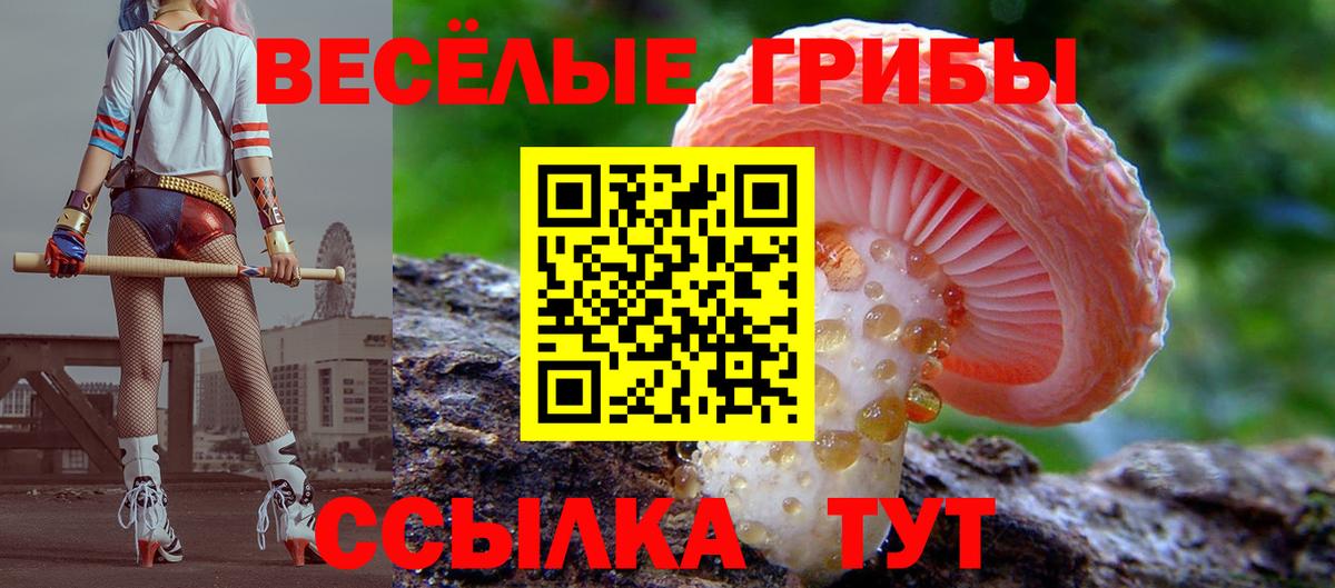 Псилоцибиновые грибы мухоморы Камышлов