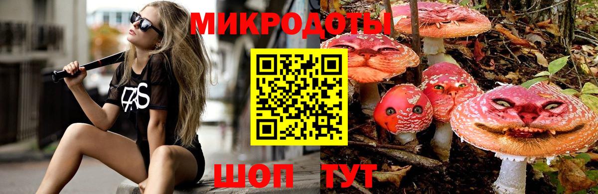 Камышлов  Псилоцибиновые грибы прущие грибы  Вход с VPN 