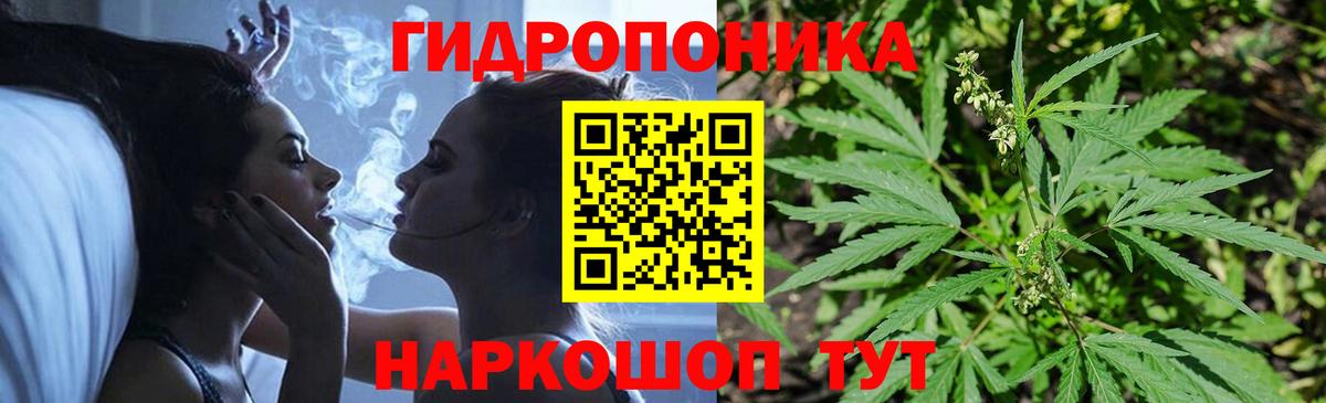Шишки марихуана THC 21%  Вход с VPN  Камышлов  Канабис Ganja 